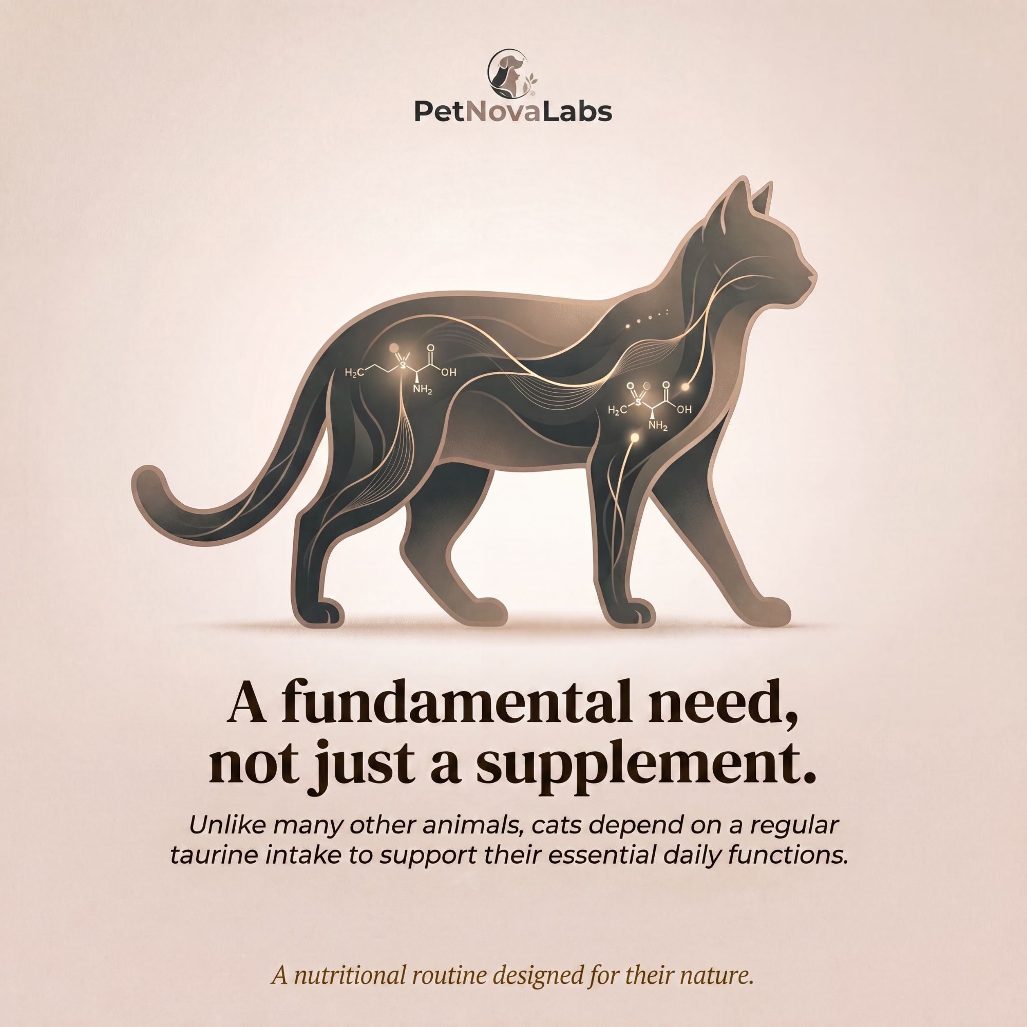 Essential Taurine Chews™ | PetNovaLabs