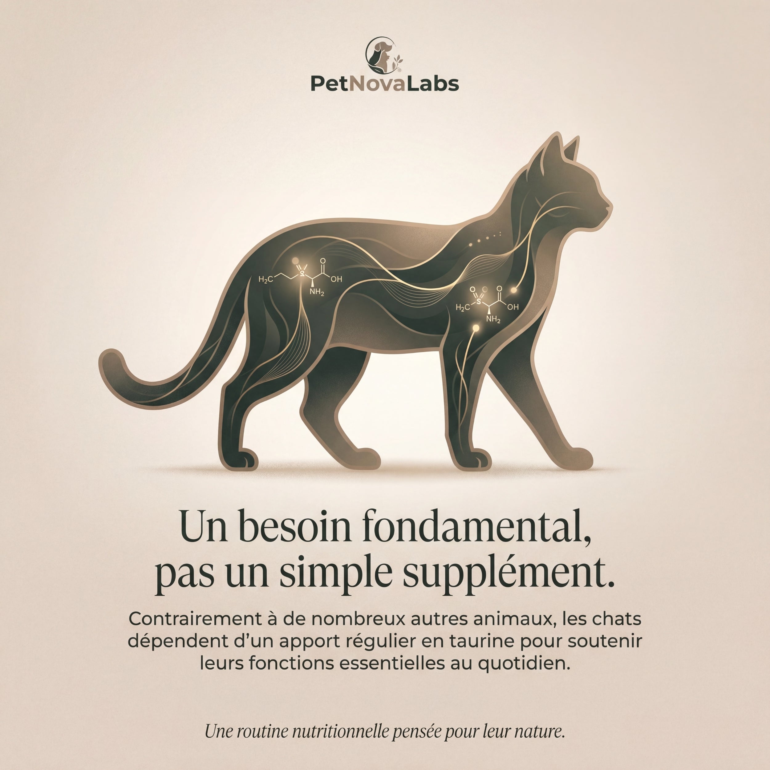 Essential Taurine Bites | PetNovaLabs